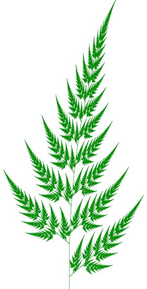 Barnsley Fern